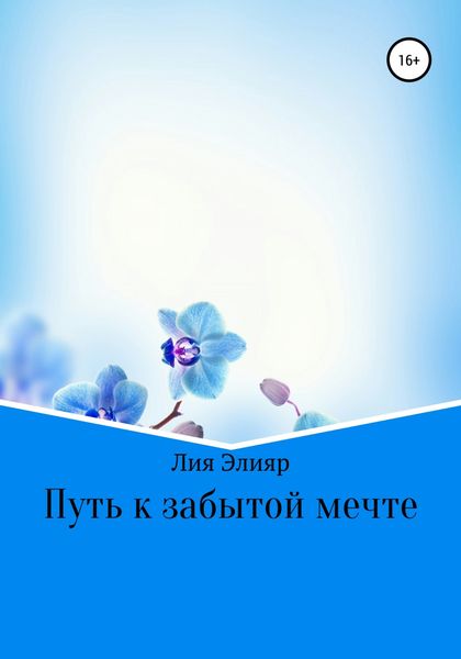 Обложка книги  «Путь к забытой мечте»
