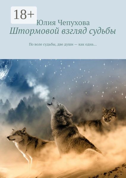 Обложка книги  «Штормовой взгляд судьбы. По воле судьбы, две души – как одна…»