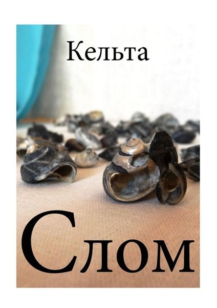 Обложка книги  «Слом»