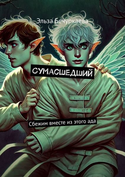 Обложка книги  «Сумасшедший. Сбежим вместе из этого ада»