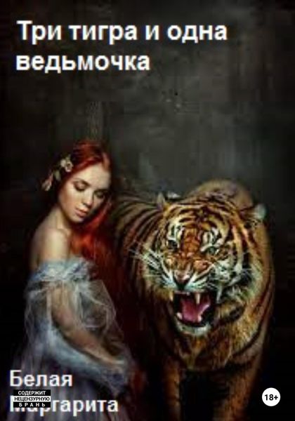 Обложка книги  «Три тигра и одна ведьмочка»
