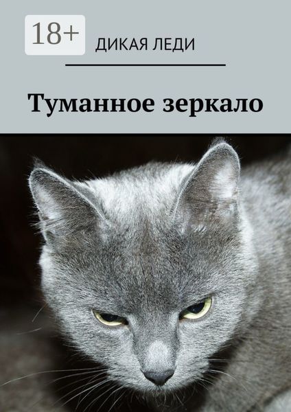 Обложка книги  «Туманное зеркало»
