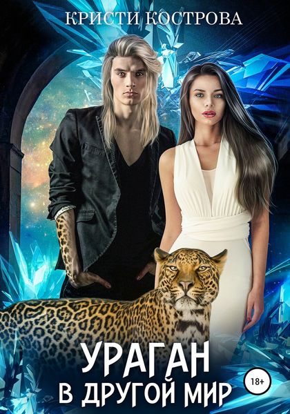 Обложка книги  «Ураган в другой мир»