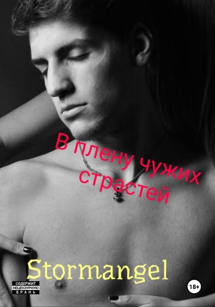 Обложка книги  «В плену чужих страстей»