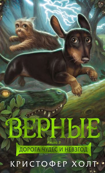 Обложка книги  «Верные. Книга 3. Дорога чудес и невзгод»