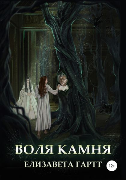 Обложка книги  «Воля камня»