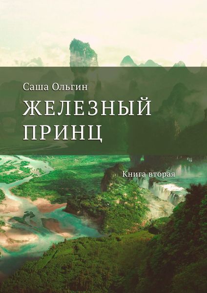 Обложка книги  «Железный принц. Книга вторая»