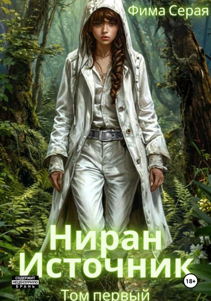 Обложка книги «Ниран. Источник»