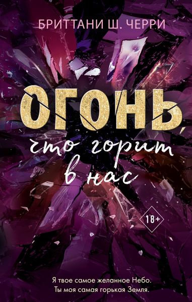 Обложка книги  «Огонь, что горит в нас»
