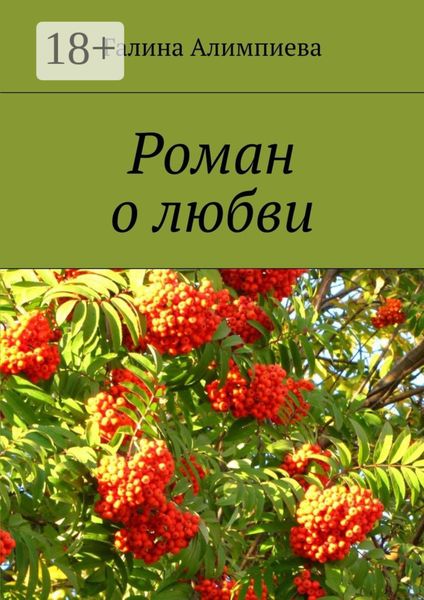 Обложка книги «Роман о любви»
