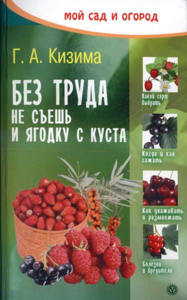 Обложка книги  «Без труда не съешь и ягодку с куста»