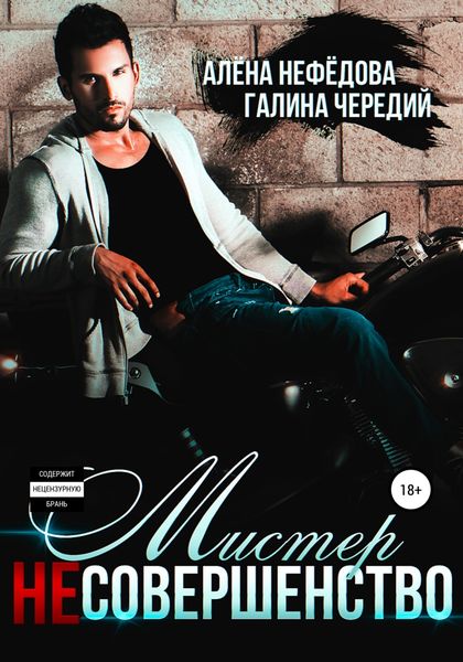 Обложка книги  «Мистер Несовершенство»