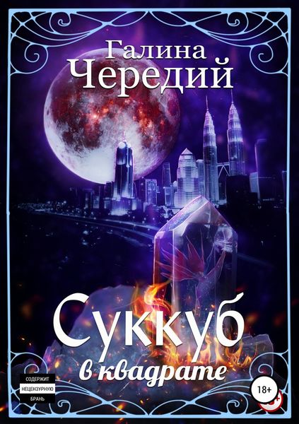 Обложка книги  «Суккуб в квадрате»