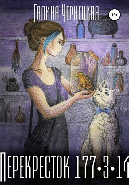 Обложка книги  «Перекресток 177-3-14»