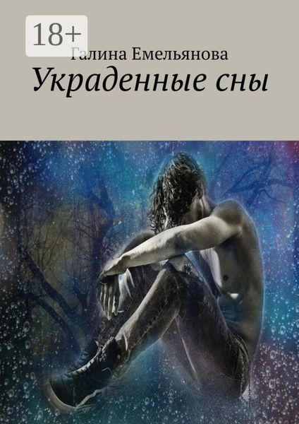 Обложка книги  «Украденные сны»