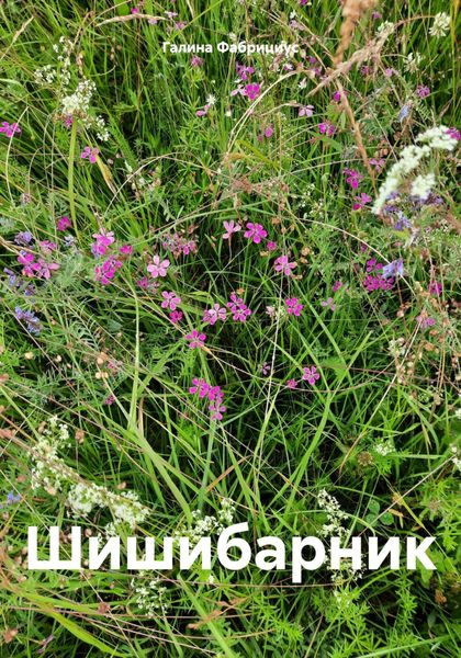 Обложка книги  «Шишибарник»