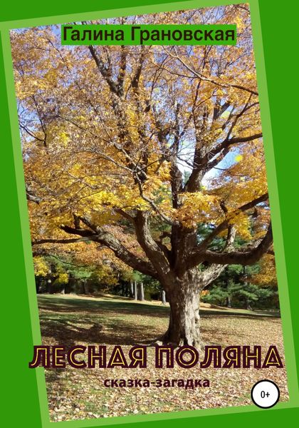 Обложка книги  «Лесная Поляна. Сказка-загадка»