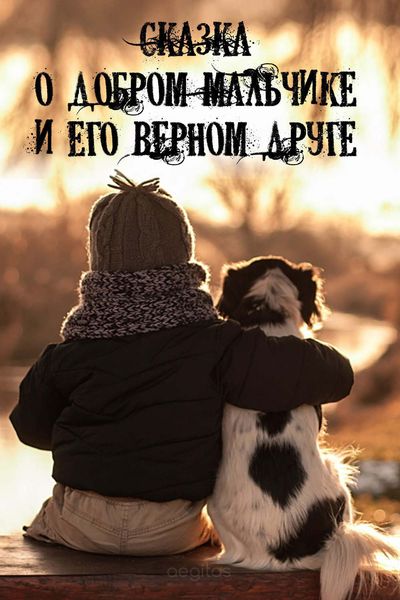 Обложка книги «Сказка о добром мальчике и его верном друге»