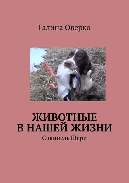 Обложка книги «Животные в нашей жизни. Спаниель Шери»