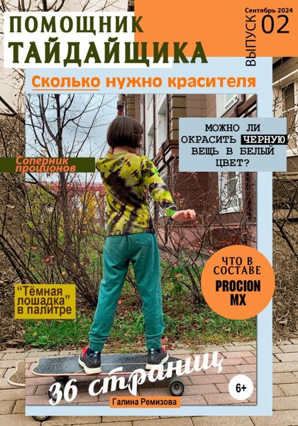 Обложка книги  «Альманах «Помощник тайдайщика». Выпуск 2»