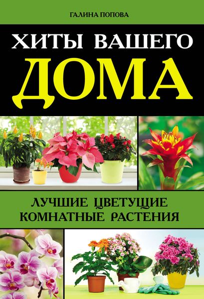 Обложка книги «Хиты вашего дома. Лучшие цветущие комнатные растения»