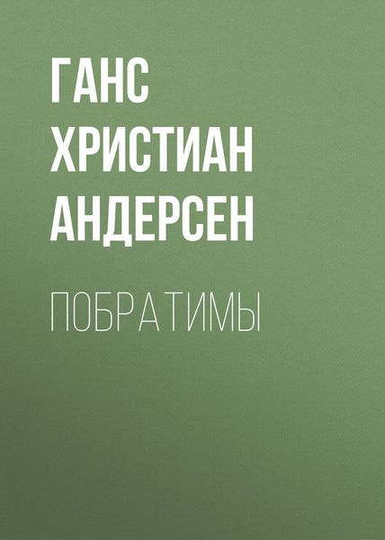 Обложка книги  «Побратимы»