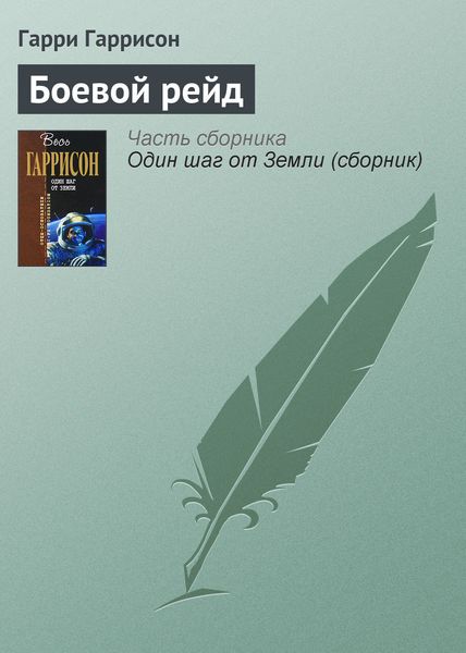 Обложка книги  «Боевой рейд»