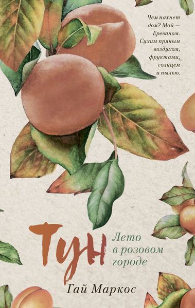 Обложка книги «Тун. Лето в розовом городе»