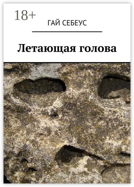 Обложка книги  «Летающая голова»