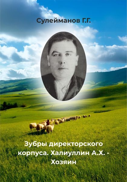Обложка книги  «Зубры директорского корпуса. Халиуллин А.Х. – Хозяин»