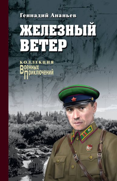 Обложка книги  «Железный ветер»