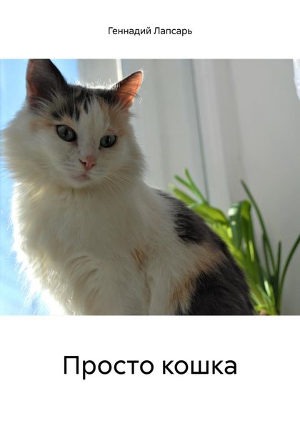 Обложка книги  «Просто кошка»