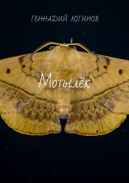Обложка книги  «Мотылёк»