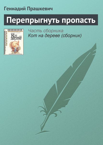 Обложка книги «Перепрыгнуть пропасть»