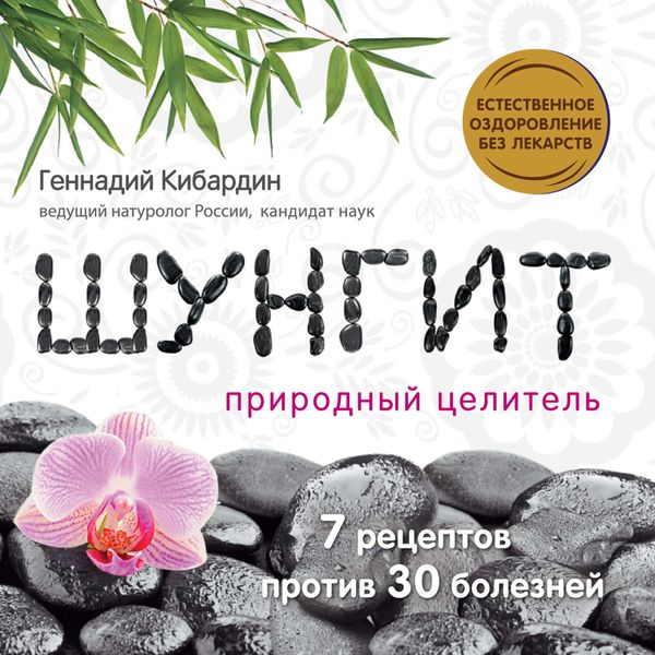 Обложка книги «Шунгит: Природный целитель»