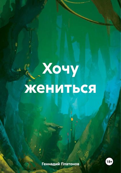 Обложка книги  «Хочу жениться»