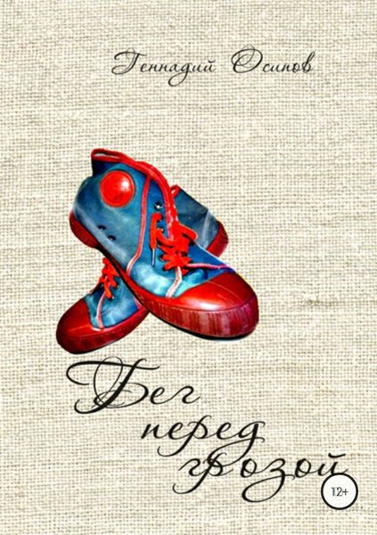 Обложка книги  «Бег перед грозой»