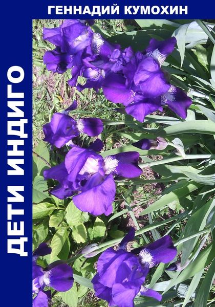 Обложка книги  «Дети Индиго»
