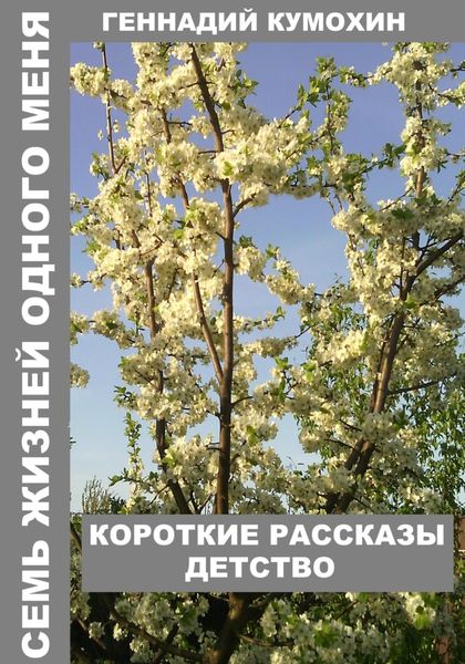 Обложка книги  «Семь жизней одного меня. Короткие рассказы. Детство»