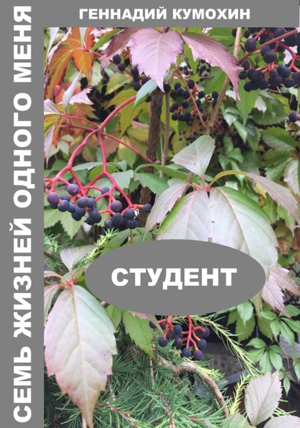 Обложка книги  «Семь жизней одного меня. Студент»