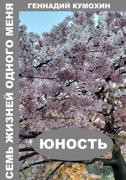 Обложка книги  «Семь жизней одного меня. Юность»