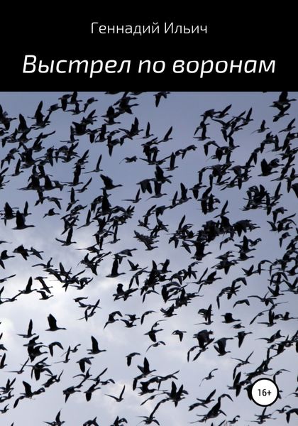 Обложка книги  «Выстрел по воронам»