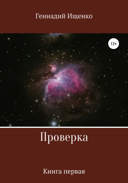 Обложка книги  «Проверка. Книга первая»