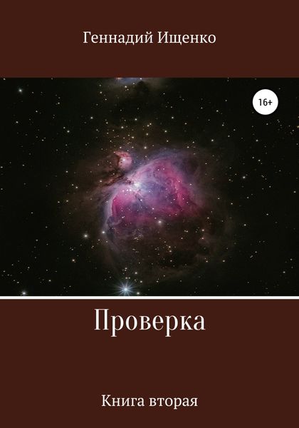 Обложка книги  «Проверка. Книга вторая»