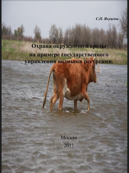 Обложка книги  «Охрана окружающей среды на примере государственного управления водными ресурсами»