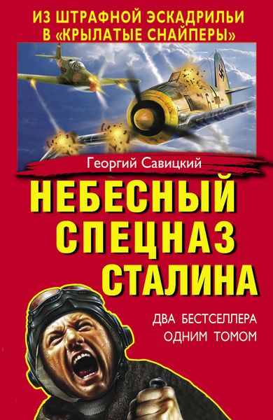 Обложка книги  «Небесный спецназ Сталина. Из штрафной эскадрильи в «крылатые снайперы»»