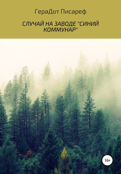 Обложка книги  «Случай на заводе «Синий коммунар»»