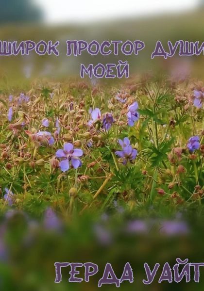 Обложка книги «Широк простор души моей»