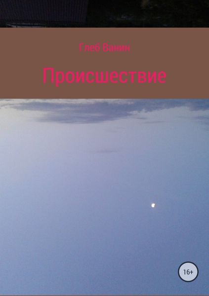 Обложка книги  «Происшествие»