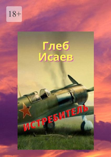 Обложка книги  «Истребитель»